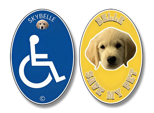 Skybelle + Belle Bundle Pack