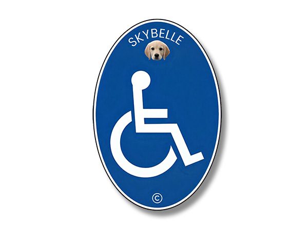 Skybelle Disability Safety Sticker
