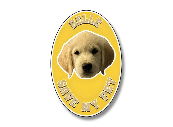 Belle Save My Pet Safety Sticker